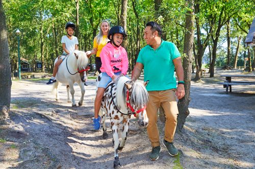 PonyparkCity Ponyrit Buitenrit Bosrit Gezin Pony Shetlander Welsh Wandelen Ponyrijden Bos