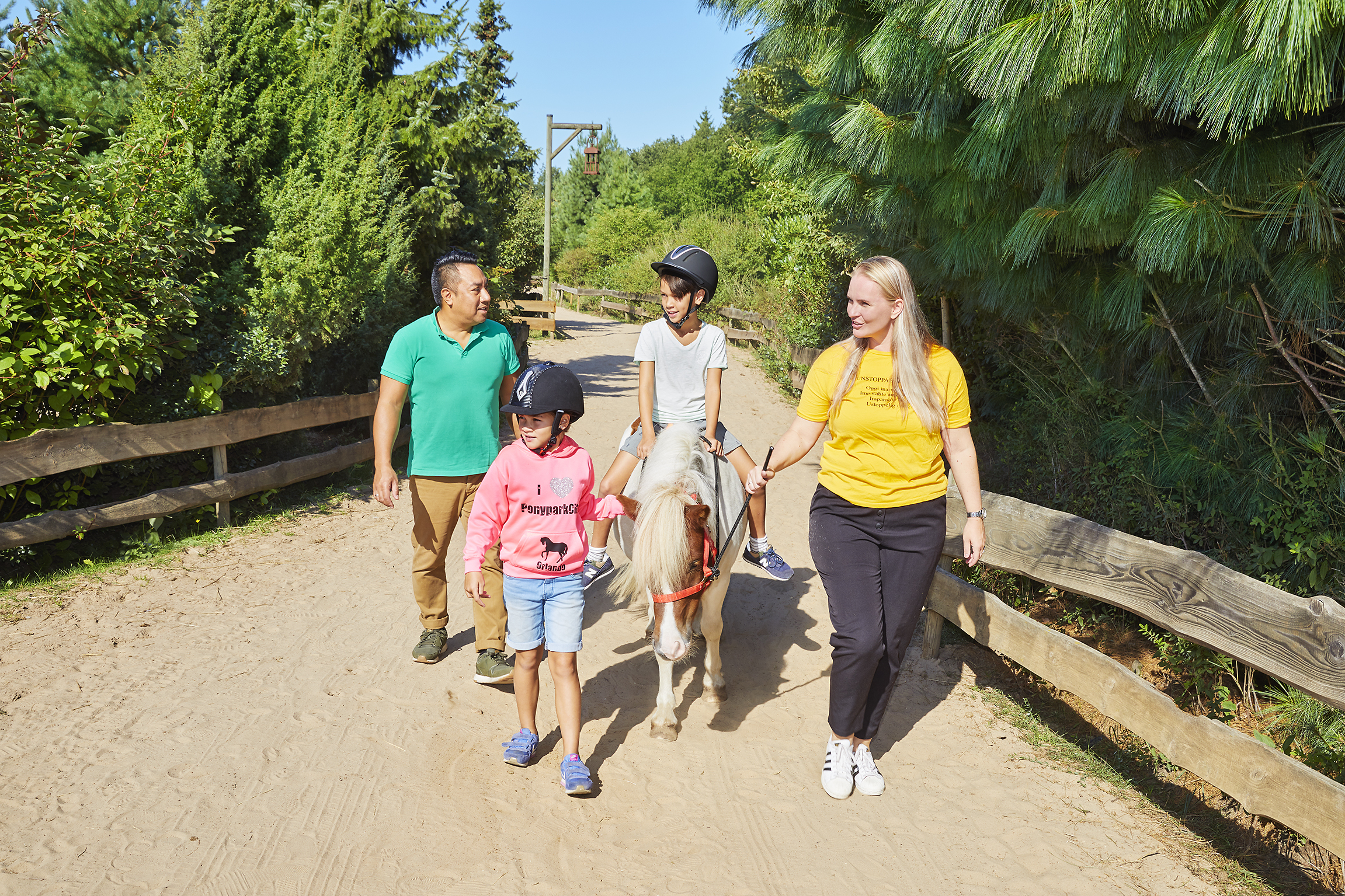 PonyparkCity Ponyrit Buitenrit Bosrit Gezin Pony Shetlander Welsh Wandelen Ponyrijden Bos