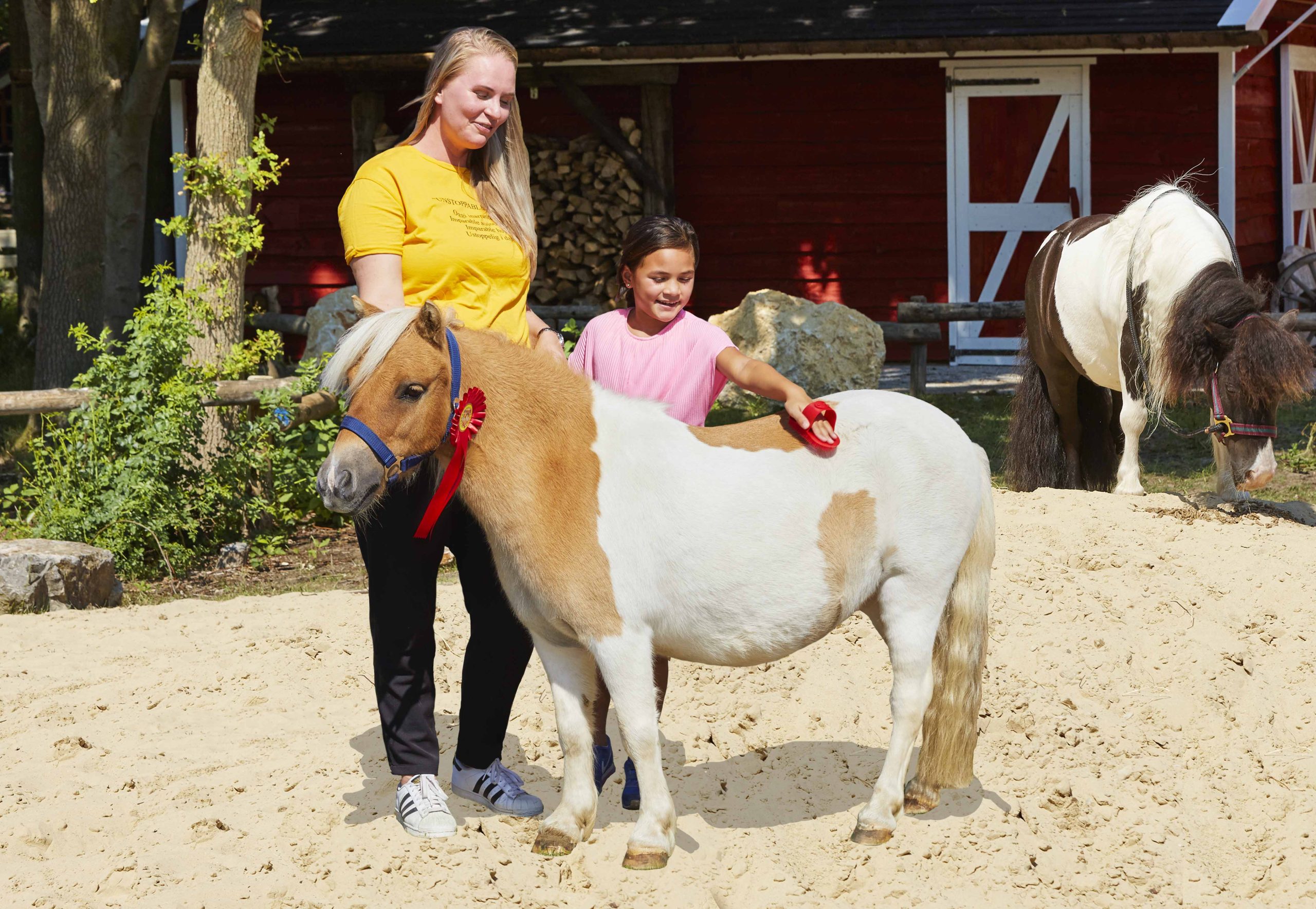 _56A9538_poetsen PonyparkCity Moeder en kind pony poetsen borstelen Shetland Pony