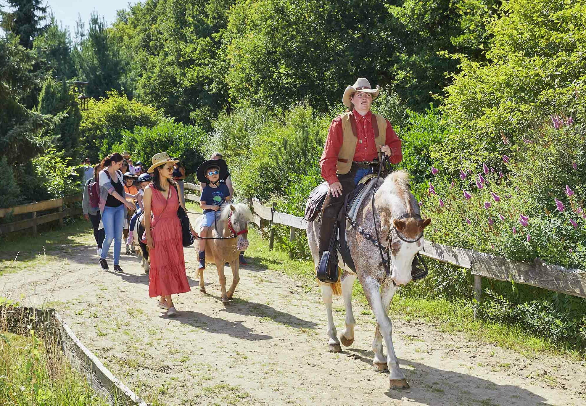 _56A2417_i_small ponyparkcity bosrit ponys oudersgezin kinderen