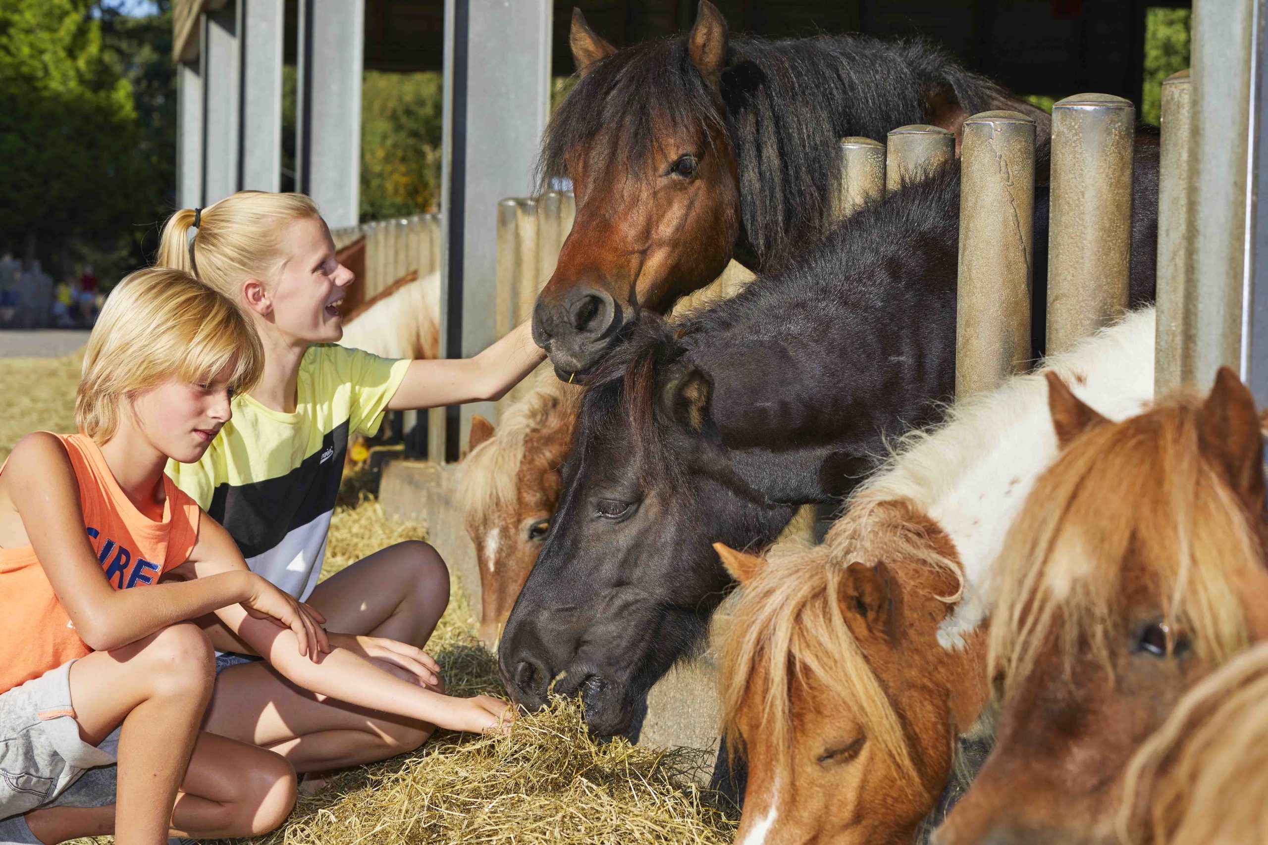 PonyparkCity Giant Stable
